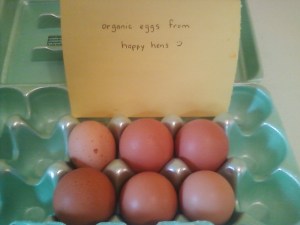 Organic Eggs from Happy Hens
