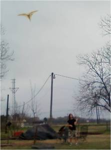 Sarah Flying Kite